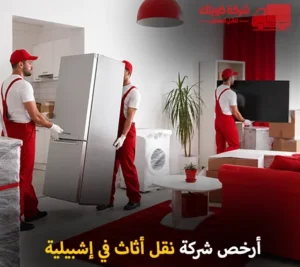 أرخص شركة نقل أثاث 24 ساعة في إشبيلية 90905157